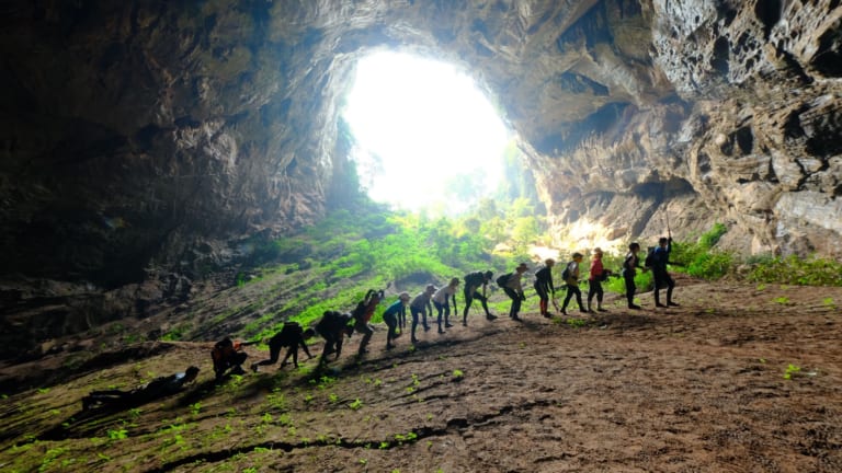 team CEO đi trekking rừng quốc gia Phong nha - kẻ bàng