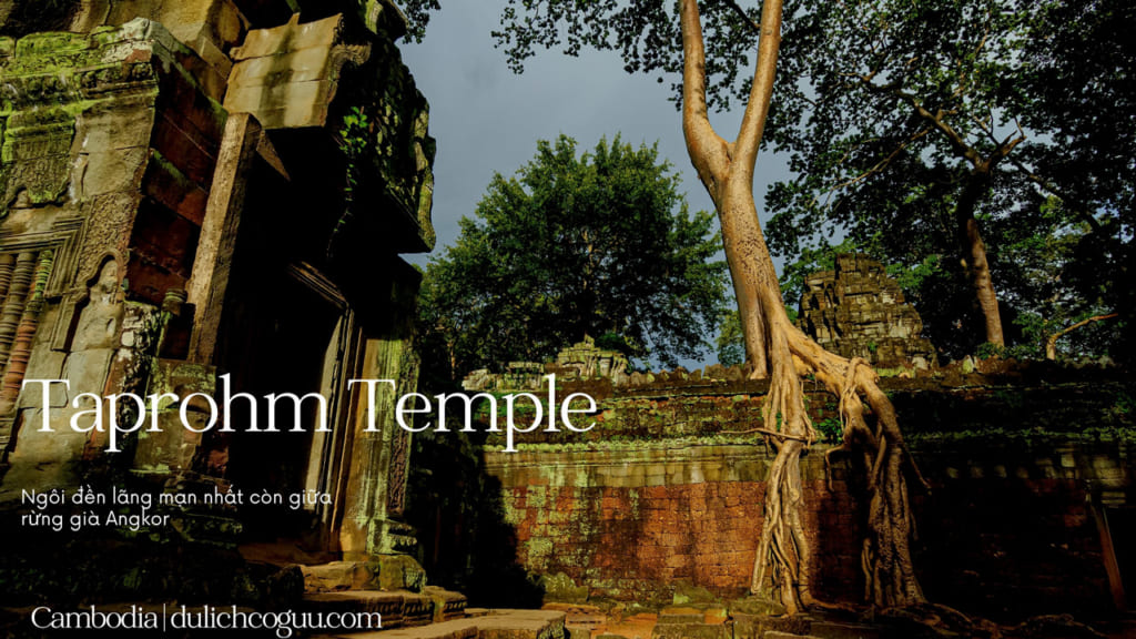 Ngôi đền nằm giữa rừng ở Campuchia