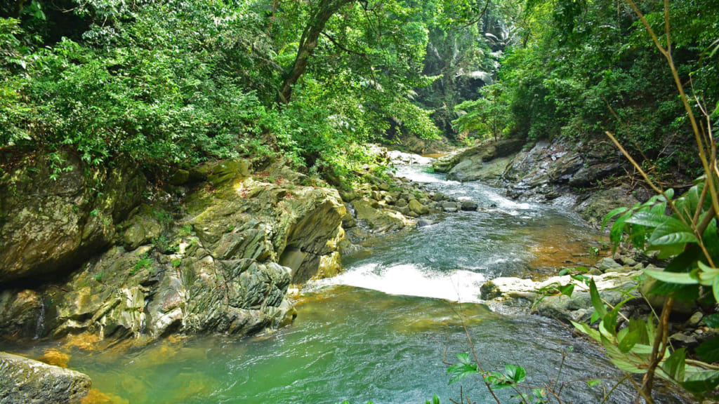 Khu dự trữ thiên nhiên Động Châu - Khe Nước Trong