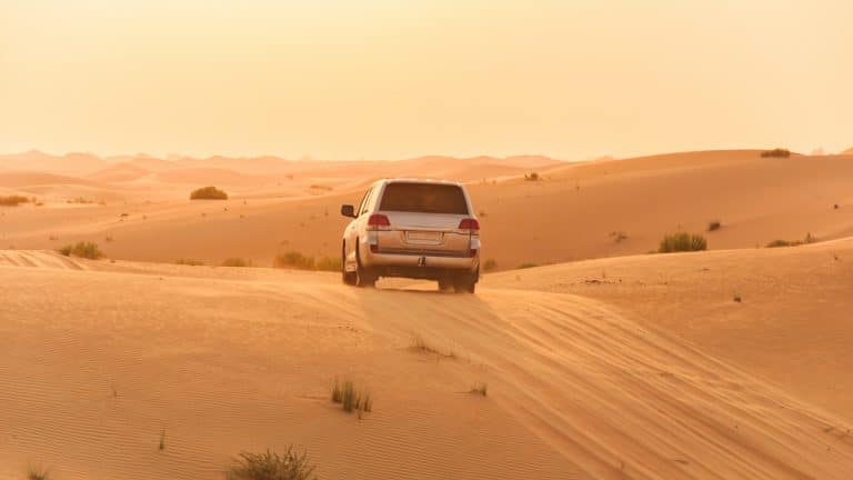 Khám phá sa mạc Safari ở Dubai