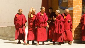 Các vị sư trong tu viện ở Ladakh