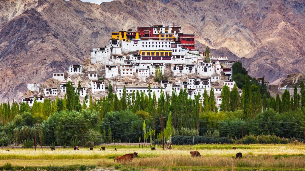 Tu viện Thiksey Ladakh