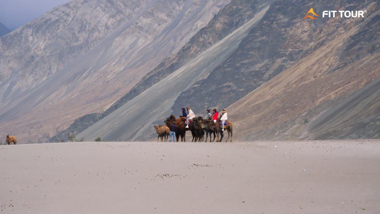 Cưỡi lạc đà ở thung lũng Nubra Ladakh