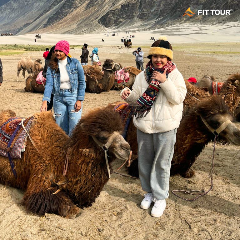 Du khách Việt hào hứng chụp ảnh cùng lạc đà ở Ladakh