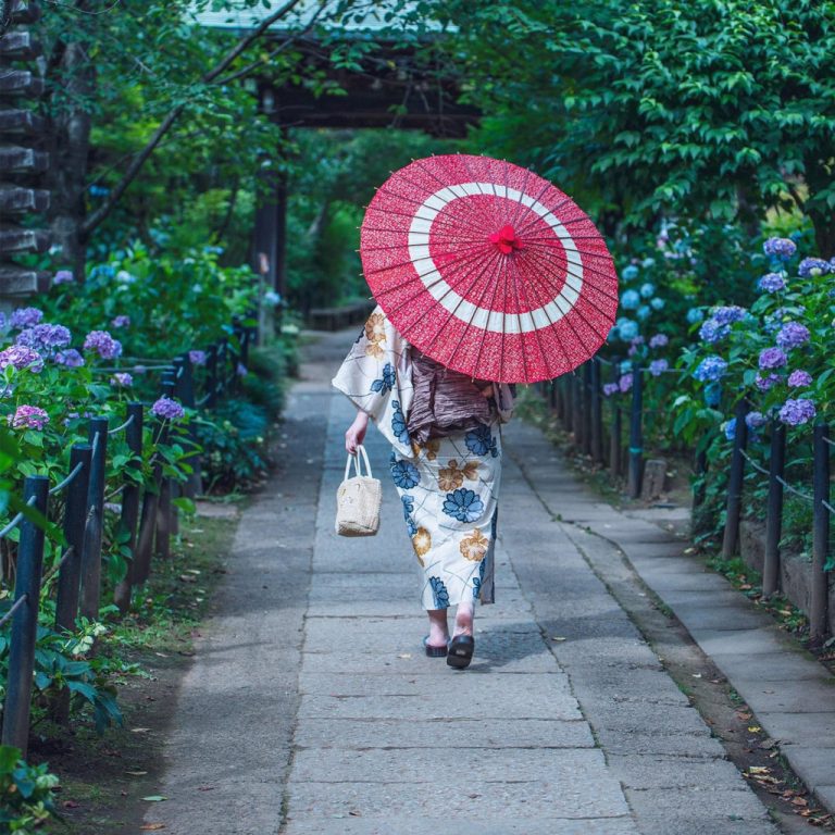 Du khách dạo bước ở đền Hondoji