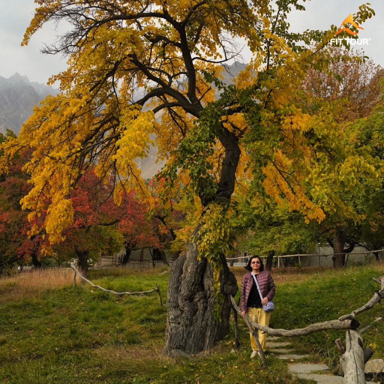 Chụp ảnh cùng với cây cối rực rỡ ở Pakistan