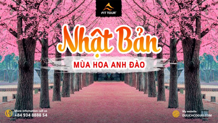 Tour Nhật Bản 6 ngày 6 đêm mùa hoa anh đào