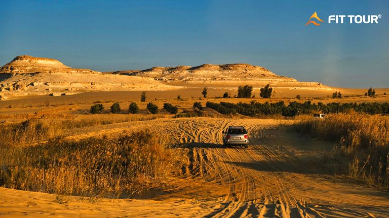 Xe hơi di chuyển ra sa mạc Sahara
