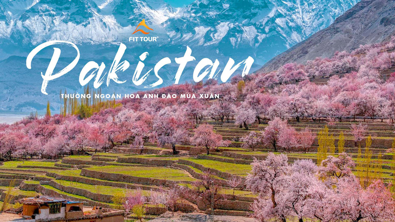 Tour Pakistan ngắm hoa anh đào: Thưởng ngoạn mùa xuân