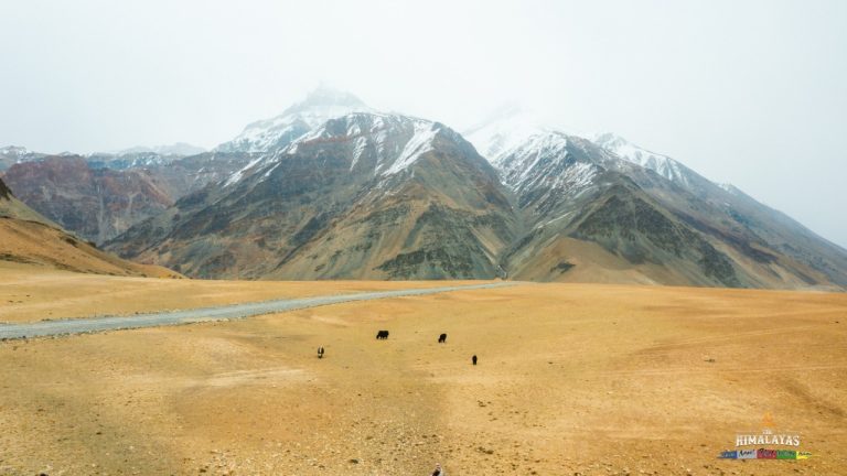 Vùng thảo nguyên Zanskar