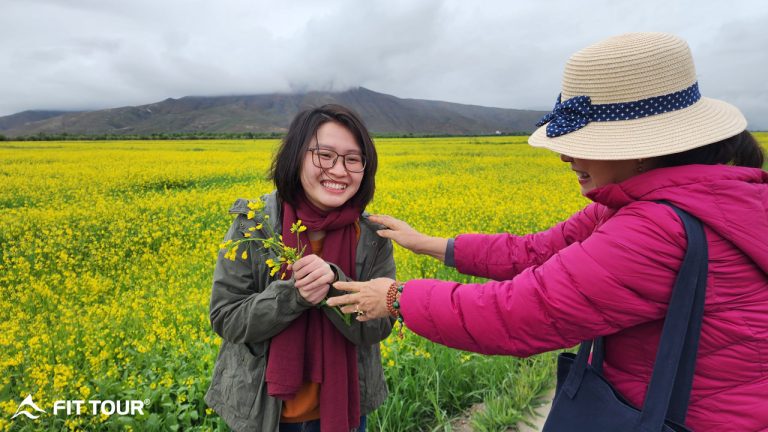 Hấp dẫn bởi mùa cải vàng Tây Tạng