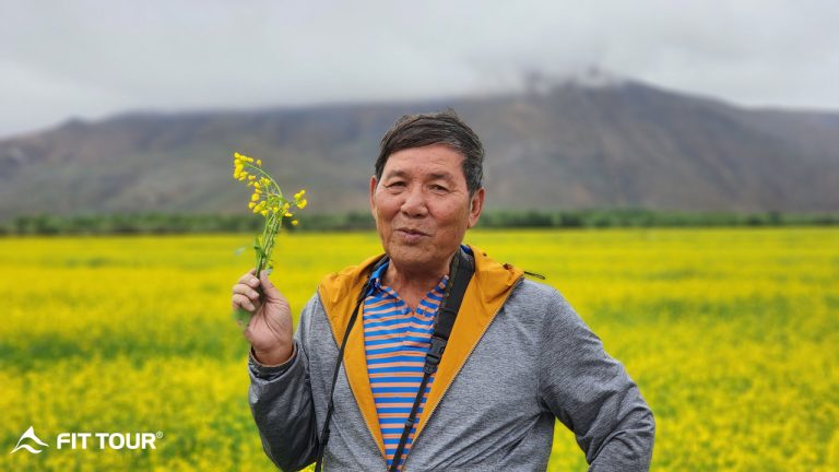 Thảo nguyên Tây Tạng mùa cải vàng
