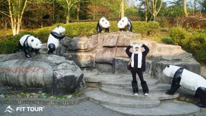 Khu bảo tồn gấu trúc Đô Giang Yển ở Thành Đô