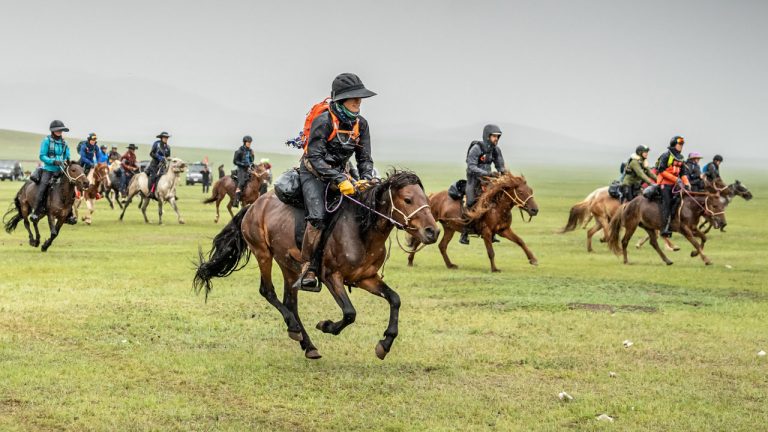 Lễ hội đua ngựa Mông Cổ