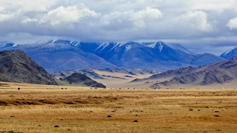 Thời điểm tốt để du lịch Mông Cổ
