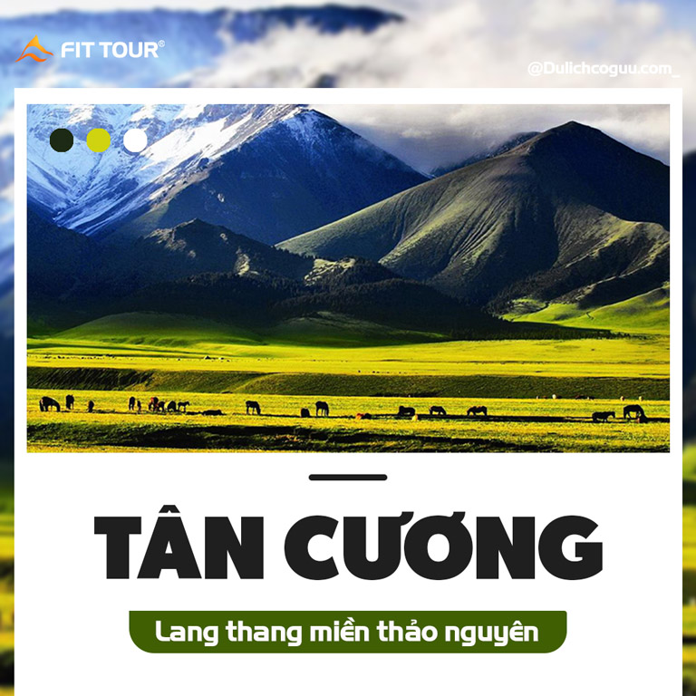 Tour Tân Cương (Banner Standee 2024)