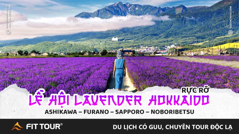 Tour Nhật Bản 6 ngày 5 đêm lễ hội Lavender