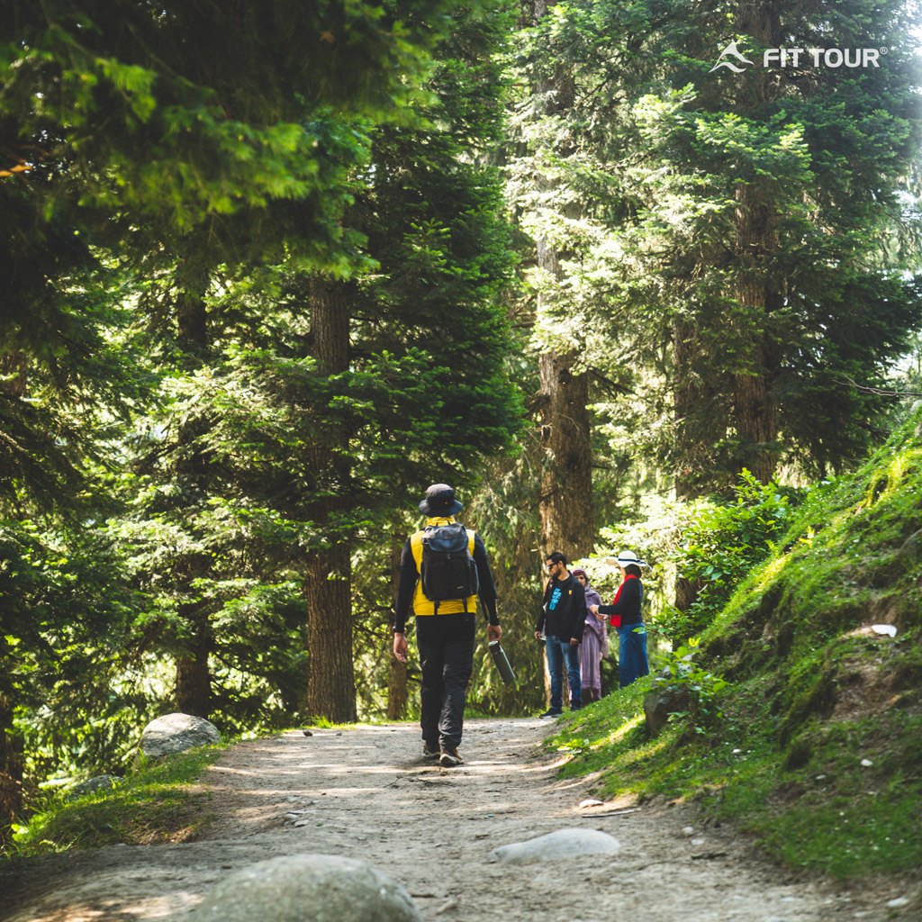 Du khách trekking qua khu rừng trong một thung lũng ở Pahalgam Kashmir