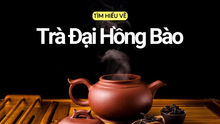 Tìm hiểu về Trà Đại Hồng Bào