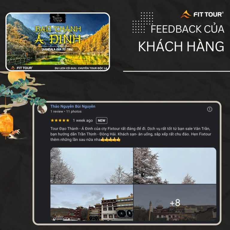Feedback đánh giá của khách hàng Thảo Nguyễn Bùi Nguyễn trong chuyến đi Đạo Thành Á Đinh cùng Fit Tour