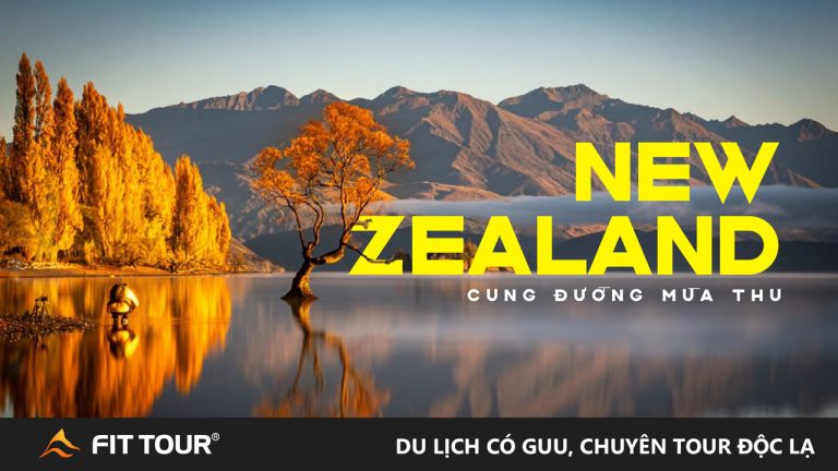 Tour New Zealand mùa thu