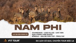 Tour Nam Phi 9 ngày 8 đêm