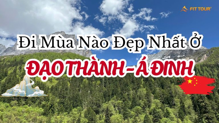 Đạo Thành Á Đinh Mùa Nào Đẹp Nhất? So Sánh Cảnh Sắc 4 Mùa