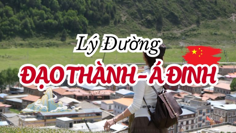 Lý Đường ở Đạo Thành Á Đinh