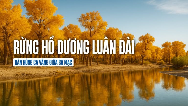 Rừng Hồ Dương Luân Đài
