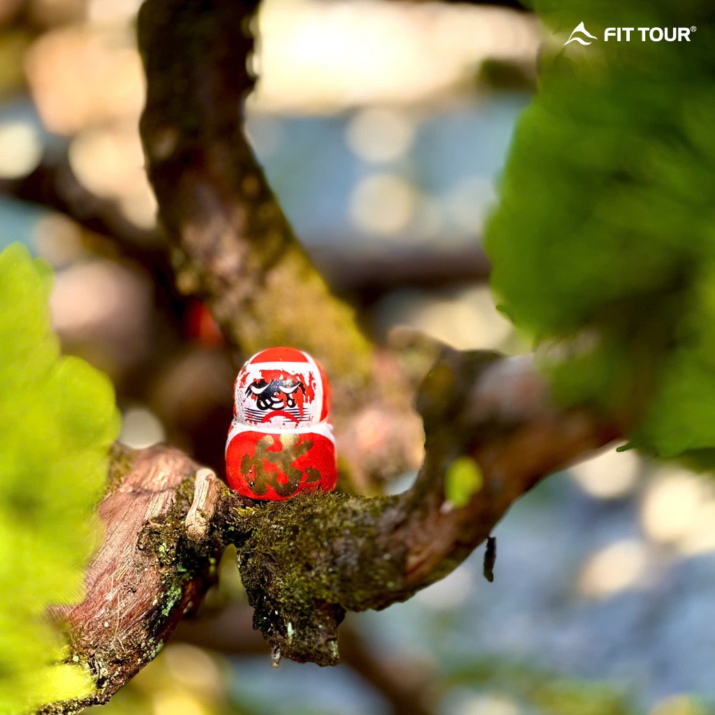 Ảnh nghệ thuật cận cảnh chú búp bê Daruma nhỏ nhắn được đặt trên cành cây, biểu tượng của sự kiên trì và may mắn.