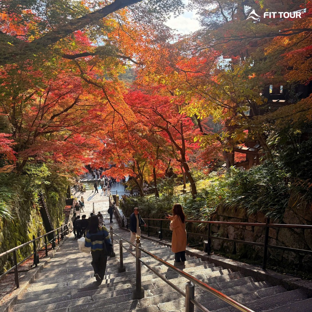 Những bậc thang đá dẫn lối xuống ngôi chùa cổ, rợp bóng lá phong đỏ tạo nên khung cảnh nên thơ.