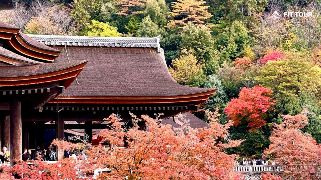 Ngọn tháp ba tầng màu đỏ cam rực rỡ vươn lên giữa bầu trời xanh, biểu tượng của cố đô Kyoto.