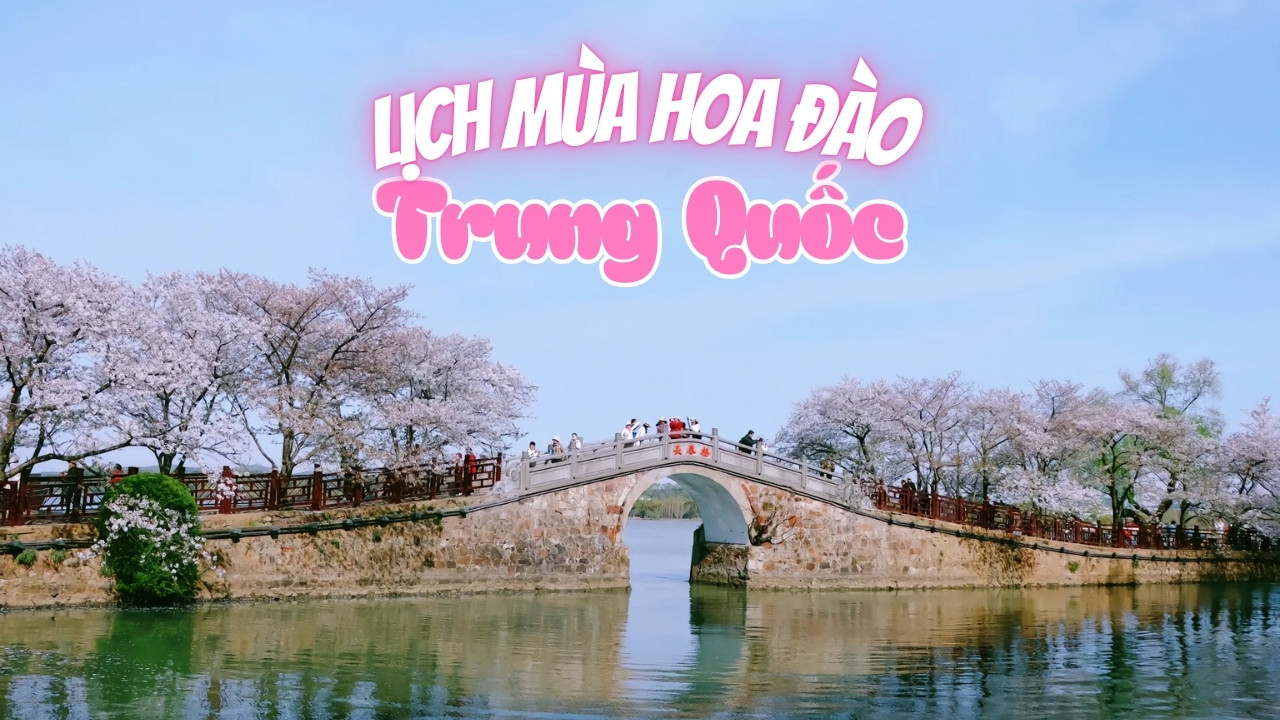 Lịch mùa hoa anh đào Trung Quốc