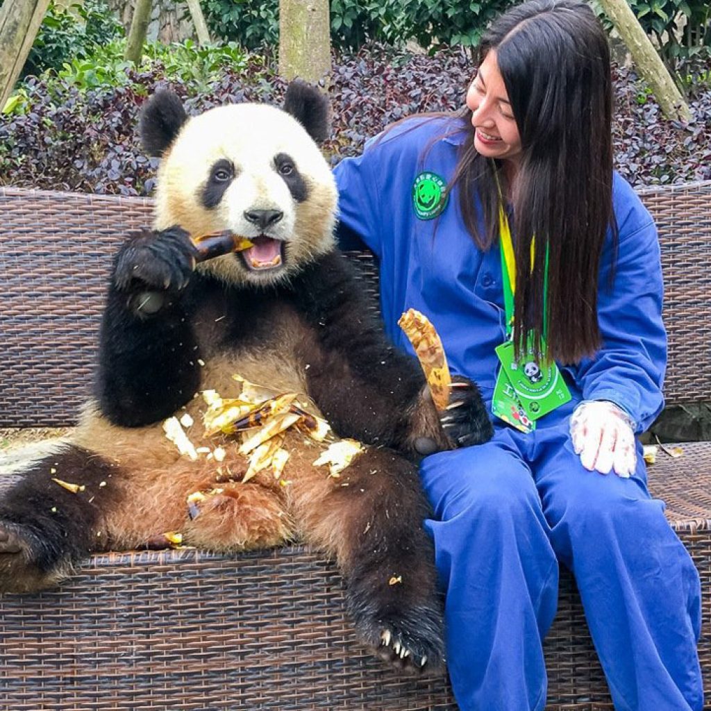 Cơ sở gấu trúc Đô Giang Yển