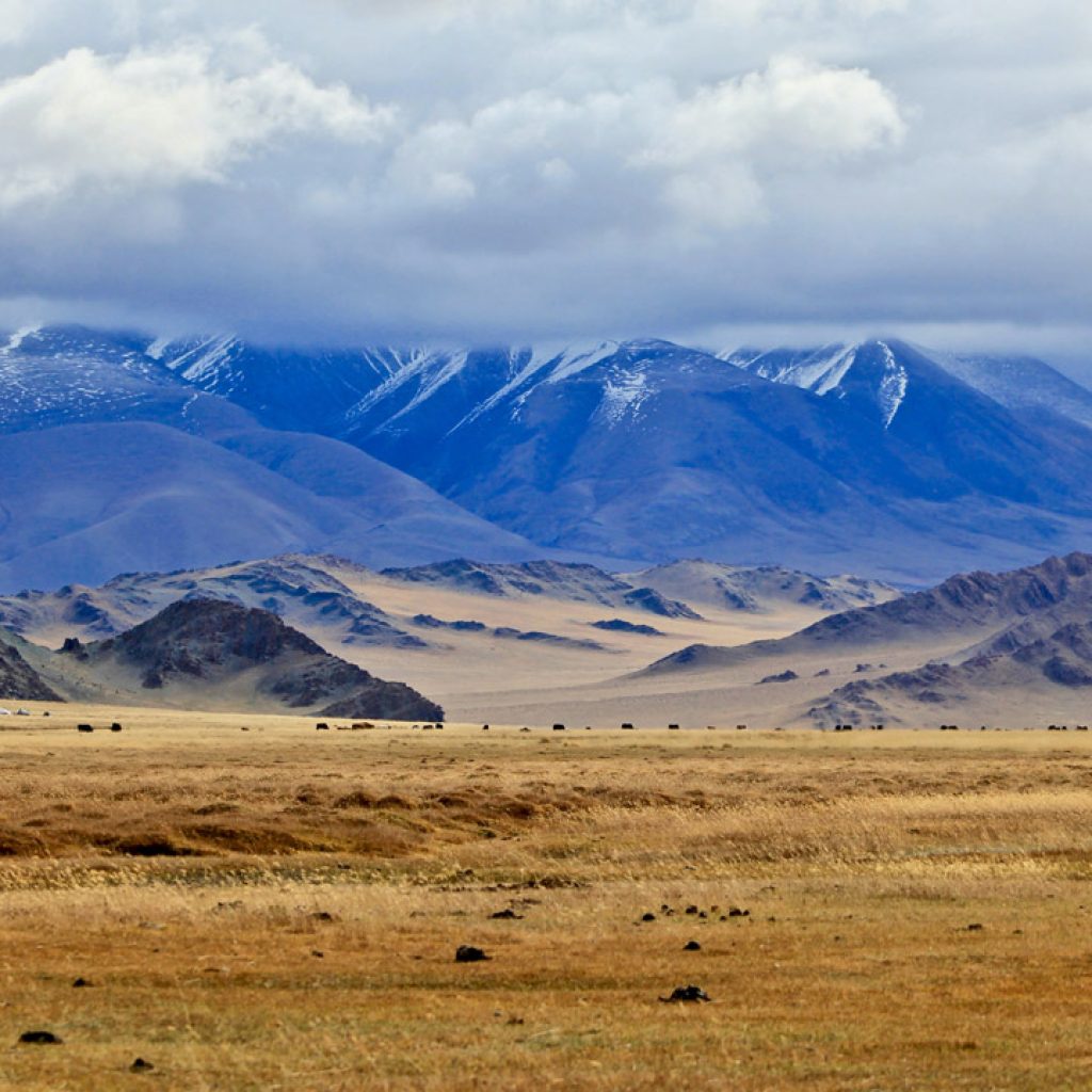 Thời điểm tốt để du lịch Mông Cổ