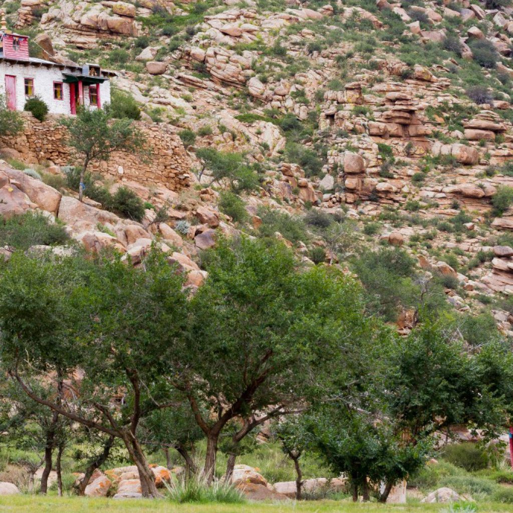 Tu viện Khamba Mông Cổ